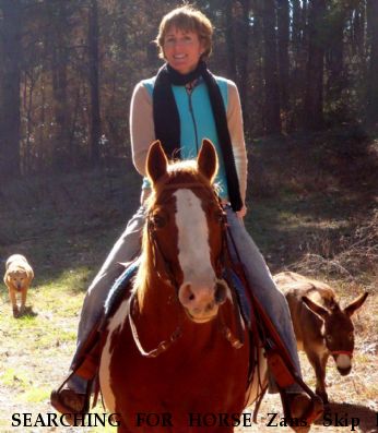 SEARCHING FOR HORSE Zans Skip N Neon, $1000.00 REWARD  Near Blue Ridge, TX, 75424-6325